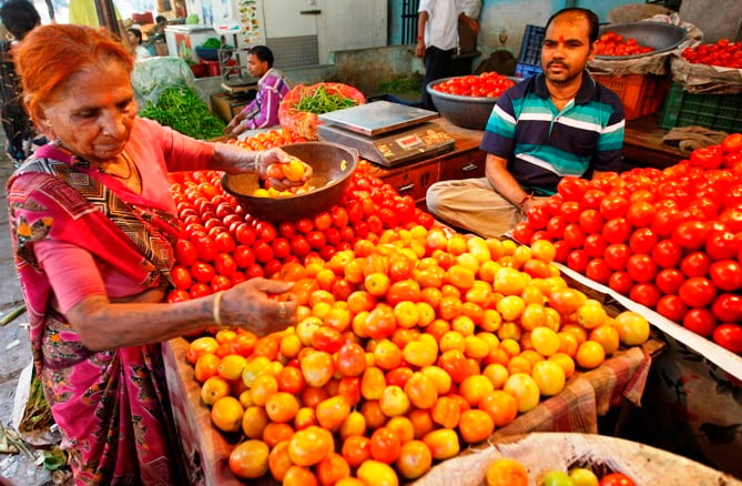 Tomatoes