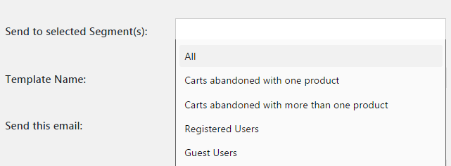 Segment Names - Understanding the default email templates of Abandoned Cart Pro for WooCommerce plugin