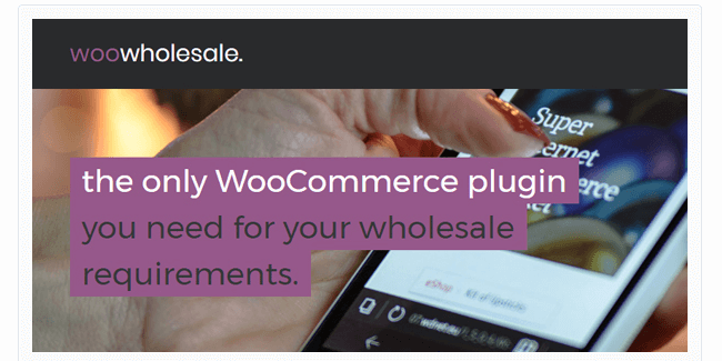 Best Free & Premium WooCommerce plugins - WooCommerce Wholesale Pricing