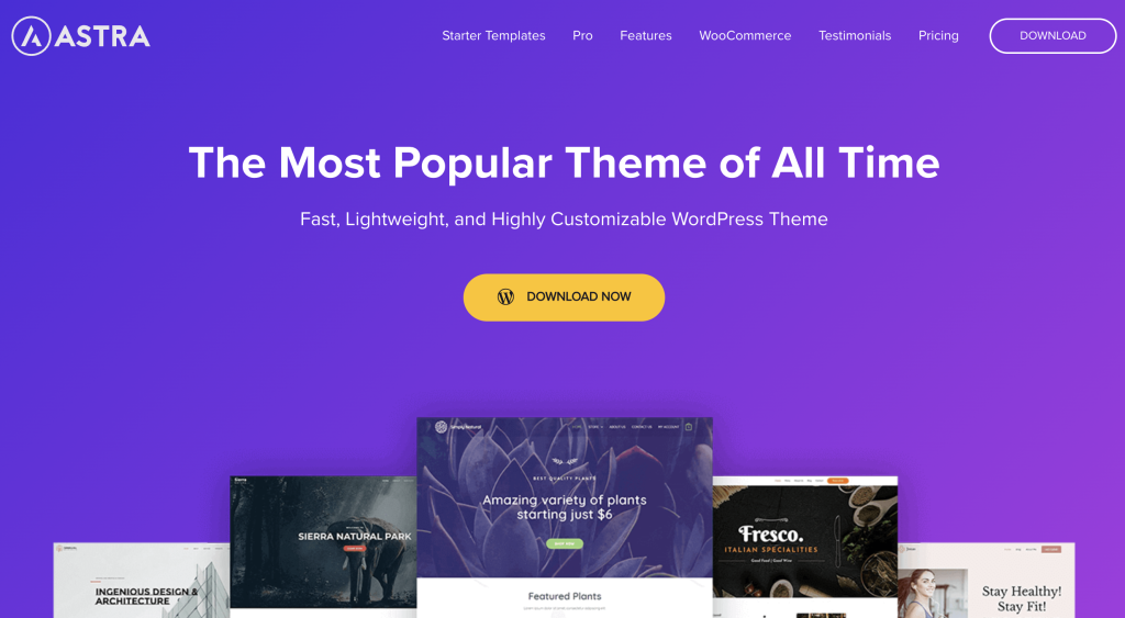 astra best wordpress themes of 2024