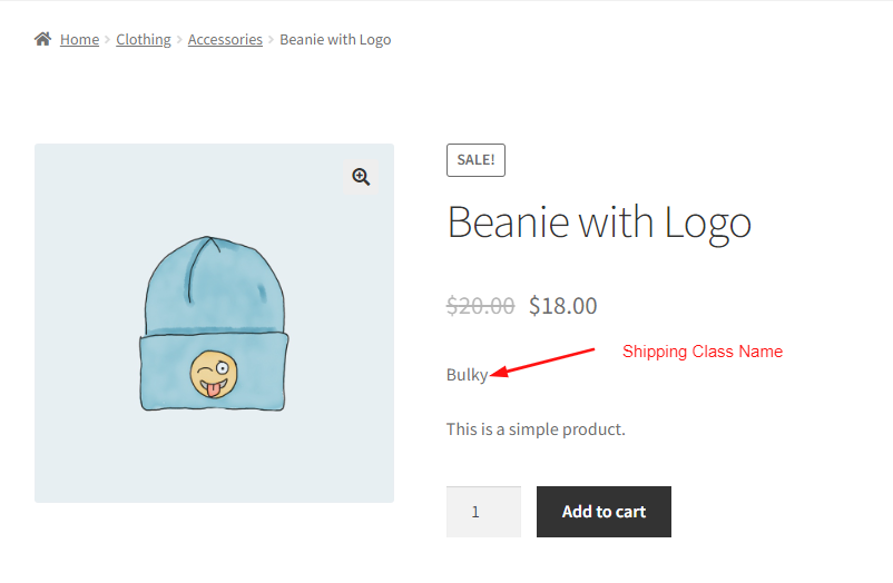 How to Display Shipping Class Name on WooCommerce Single Product Page?